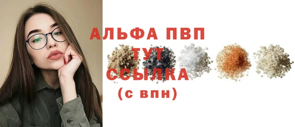 ПСИЛОЦИБИНОВЫЕ ГРИБЫ Сатка