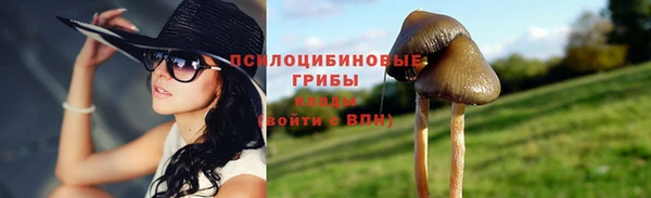 ПСИЛОЦИБИНОВЫЕ ГРИБЫ Сатка