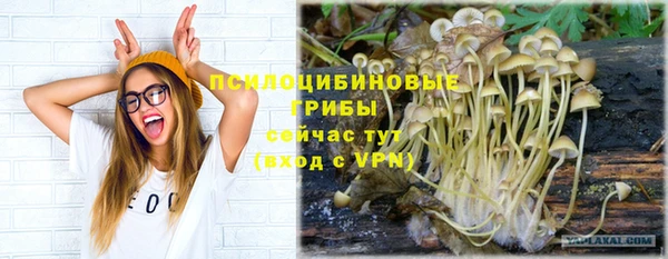 MDMA Premium VHQ Саяногорск
