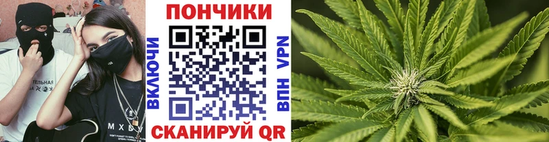 Шишки марихуана MAZAR  Купить где  Карачаевск 